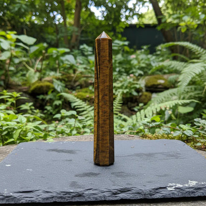 Pointe polie en Œil de Tigre 87g (PRGFL699-5)