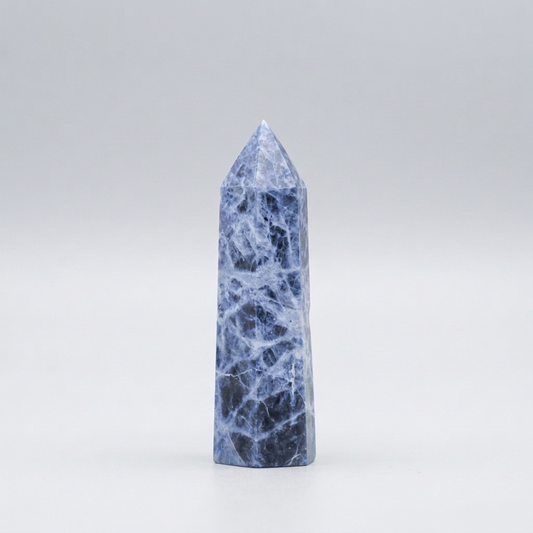 Pointe en Sodalite 20g (PRGFL507-2)