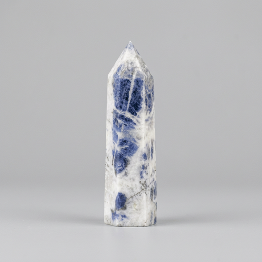 Pointe en Sodalite 18g (PRGFL507-3)
