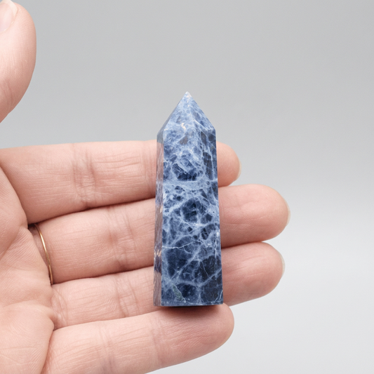 Pointe en Sodalite 20g (PRGFL507-2)