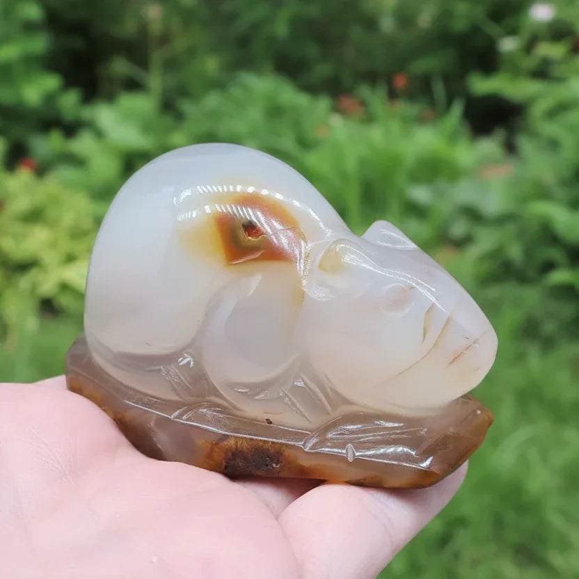 Souris (ou rat) en Agate 177g (PRGFL536-2)