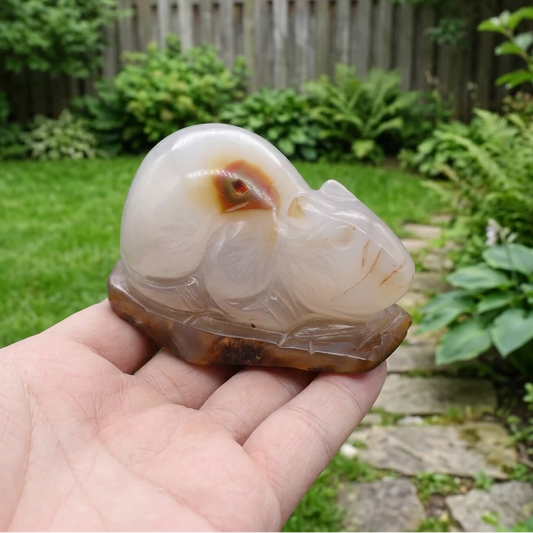 Souris (ou rat) en Agate 177g (PRGFL536-2)