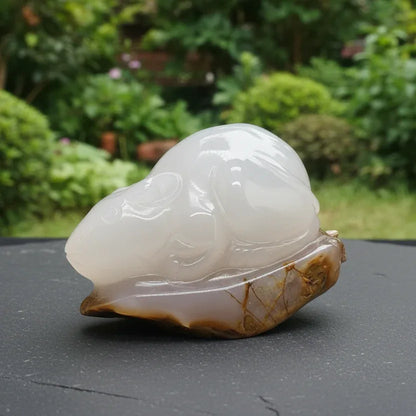 Souris (ou rat) en Agate 177g (PRGFL536-2)