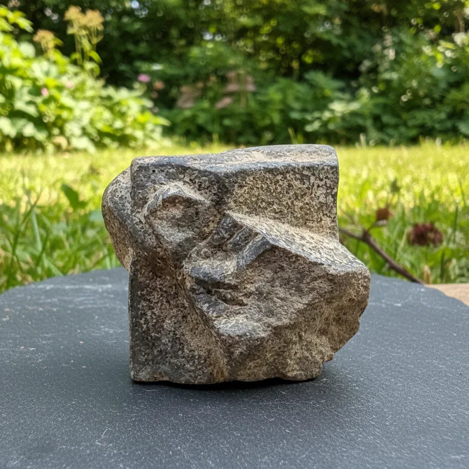 Staurolite ou Staurotide brute 41g (MB497-9)