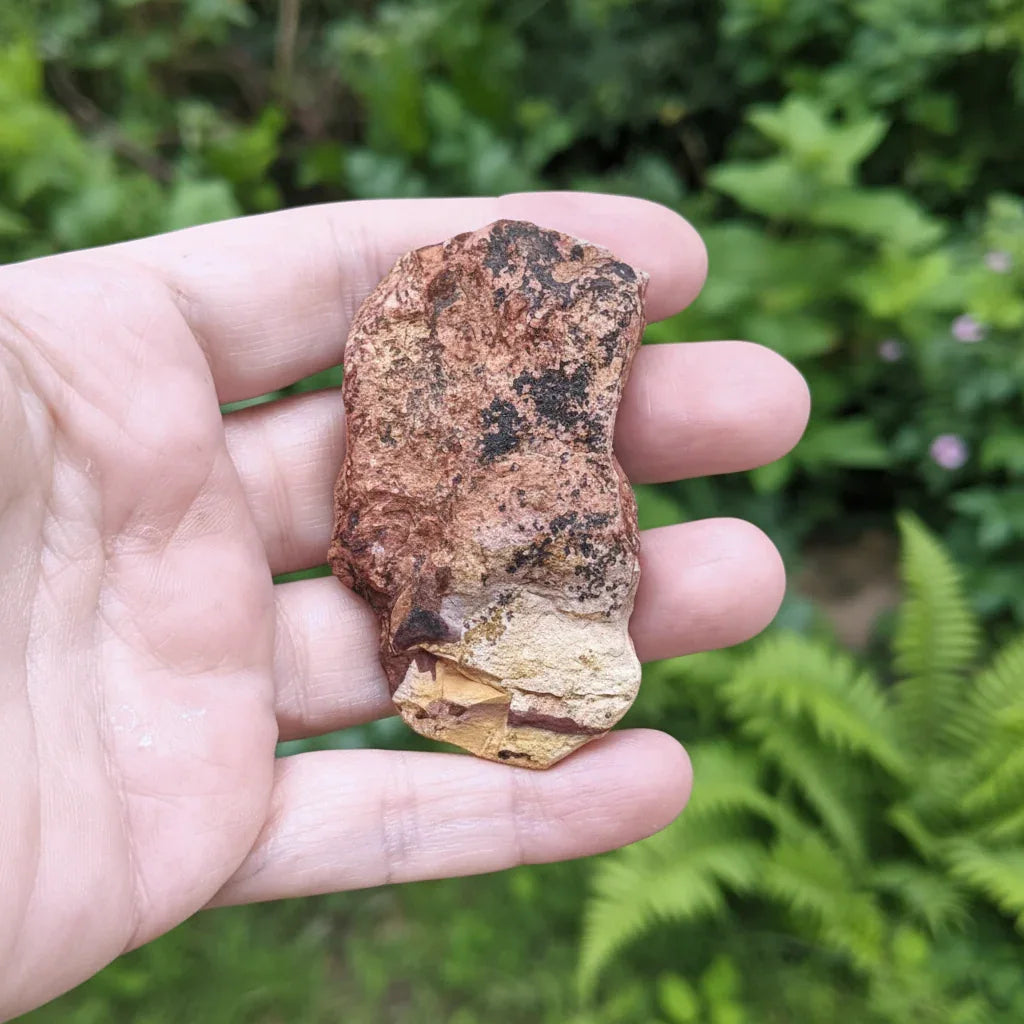 Tranche de Jaspe Bicolore dos brut 33g (PRGFL702-2)