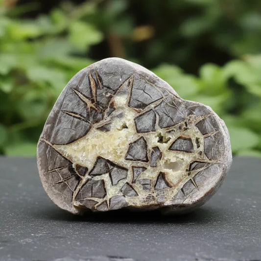 Tranche de Septaria et Calcite jaune brute et polie 388g (MB452)