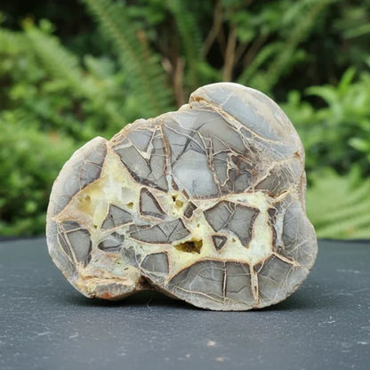 Tranche de Septaria et Calcite jaune brute et polie 388g (MB452)