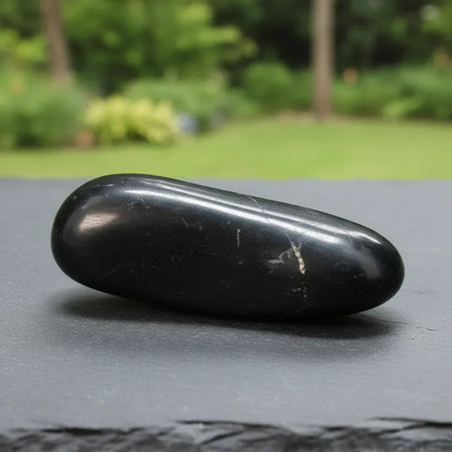 Galet en Shungite 107g (PRGFL743)