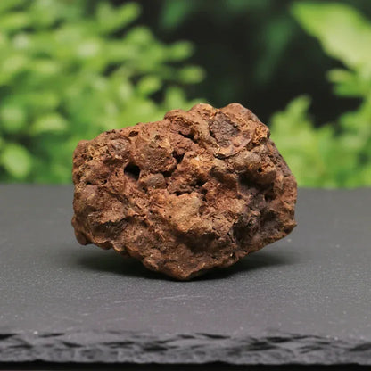 Limonite, Goethite et Pisolithes brutes 26g (MB575-2)