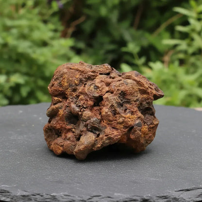 Limonite, Goethite et Pisolithes brutes 21g (MB575-1)