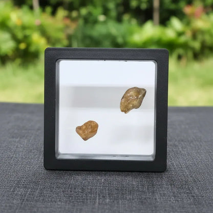 Lot de 2 Saphir jaunes bruts (MB568)