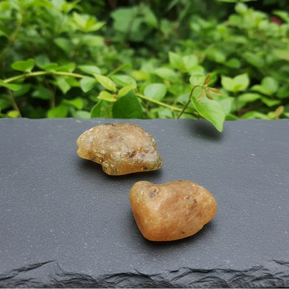 Lot de 2 Saphir jaunes bruts (MB568)