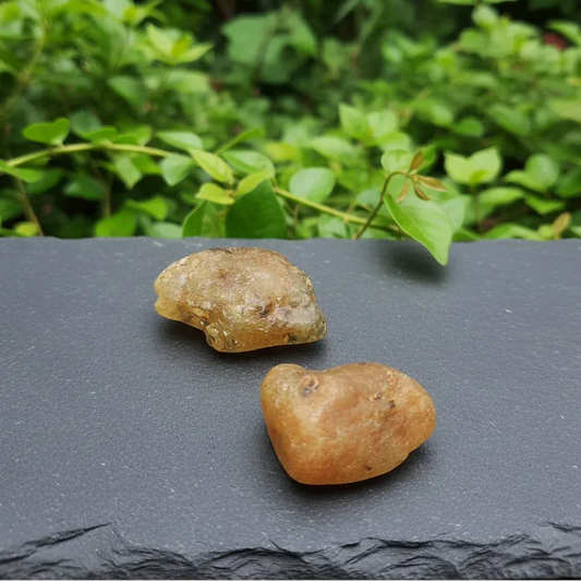 Lot de 2 Saphir jaunes bruts (MB568)