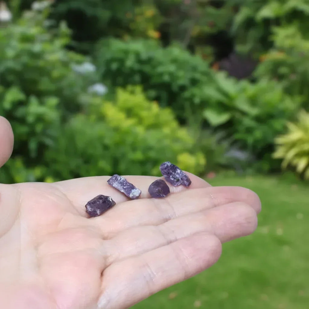 Lot de 4 Scapolite violettes brutes (MB567)