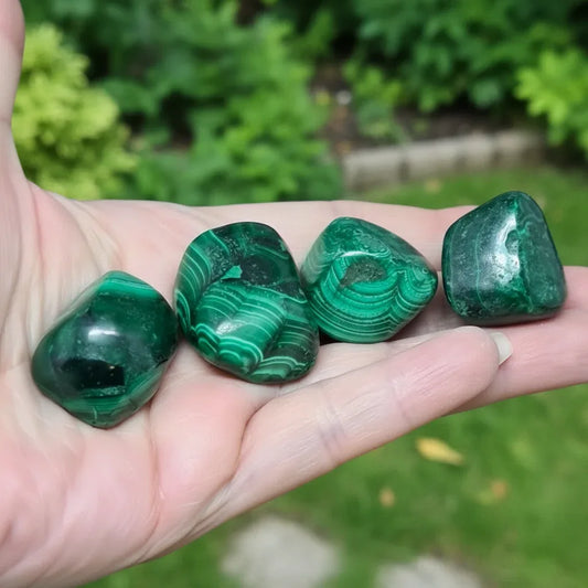 Malachite - Pierre roulée (PRGFL461) - ENAE Minéraux