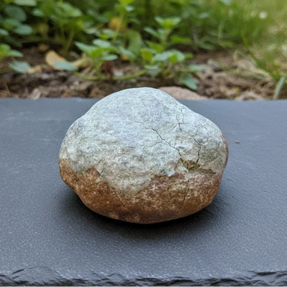 Nodule de Pyrite 37g (MB564)