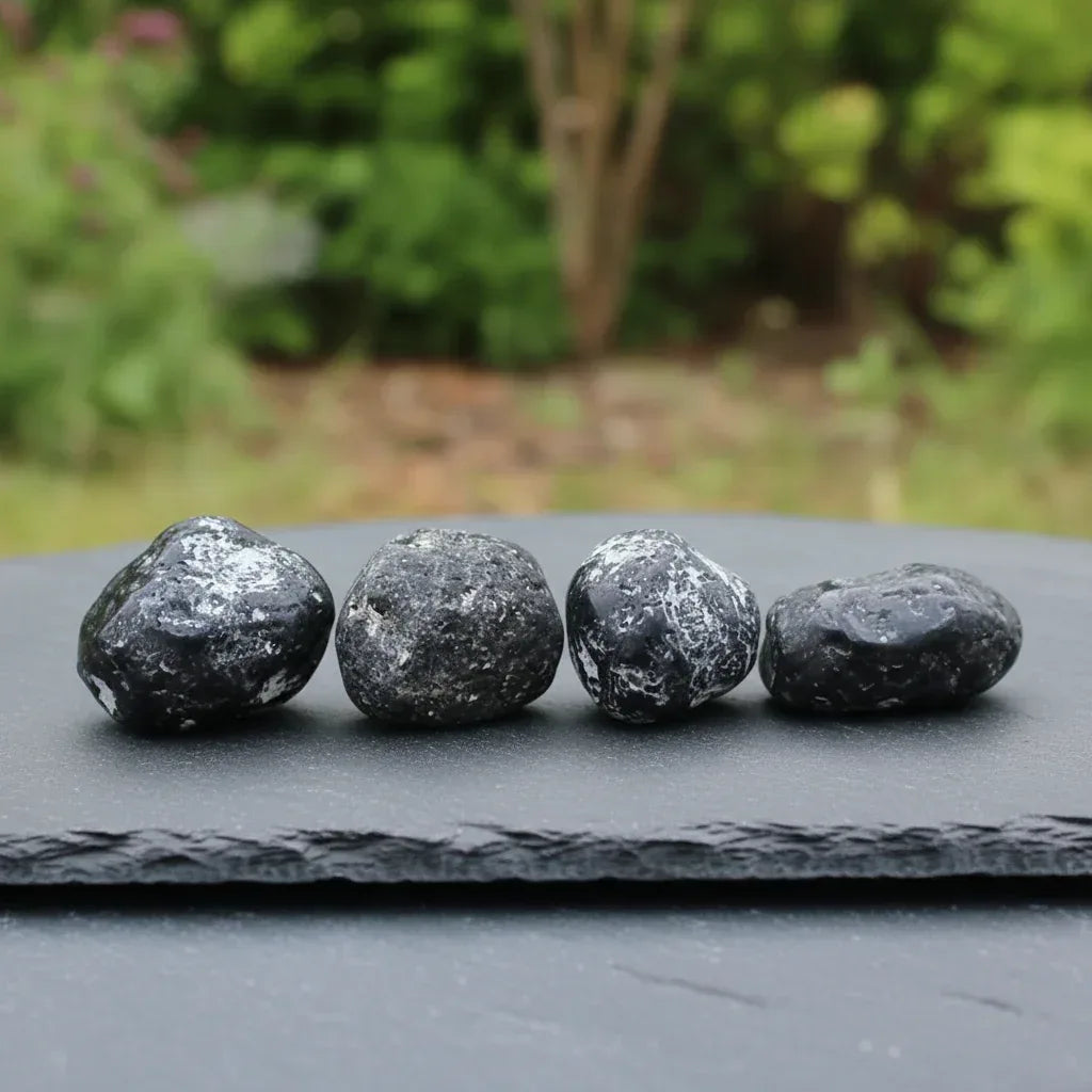 Obsidienne Larme d'Apache brute (MB574)