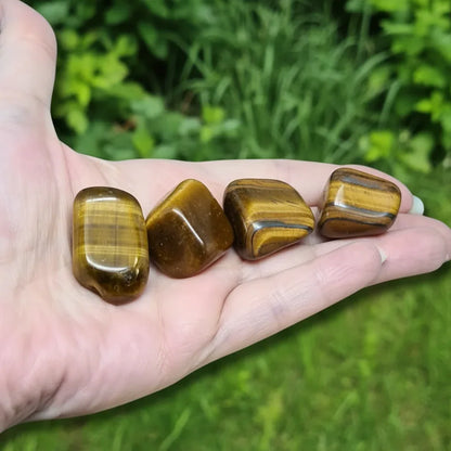 Œil de Tigre - Pierre roulée (PRGFL460) - ENAE Minéraux