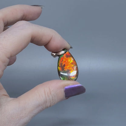 Pendentif en Ammolite (PE1814)