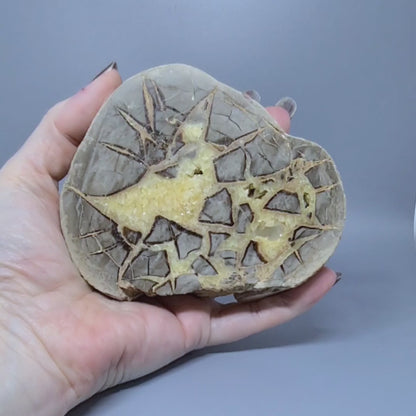 Tranche de Septaria et Calcite jaune brute et polie 388g (MB452)