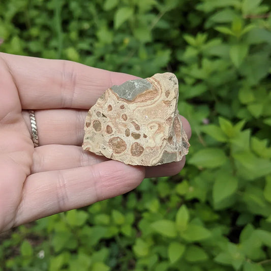 Rhyolite Léopard brute 32g (MB581) - ENAE Minéraux