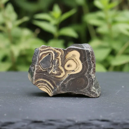 Tranche de Schalenblende polie 27g (PRGFL742)